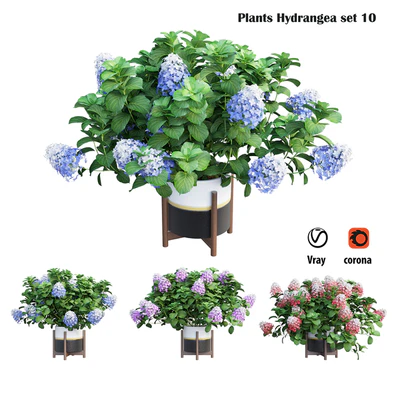 Plants Hydrangea set 10 — Вид 3