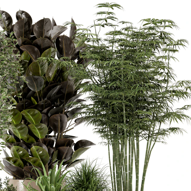 Indoor Plants in rusty Concrete Pot - Set 229 — Descargar