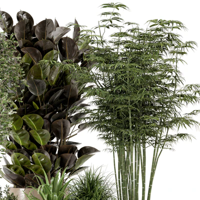 Indoor Plants in rusty Concrete Pot - Set 229 — Ver 4