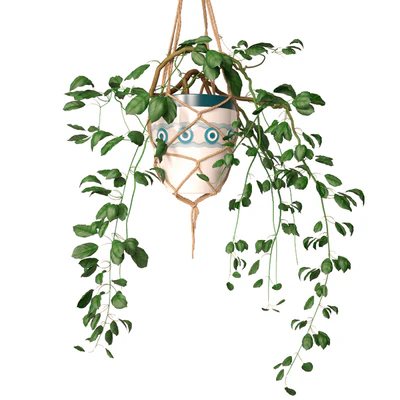 Hanging pots — Ver 2
