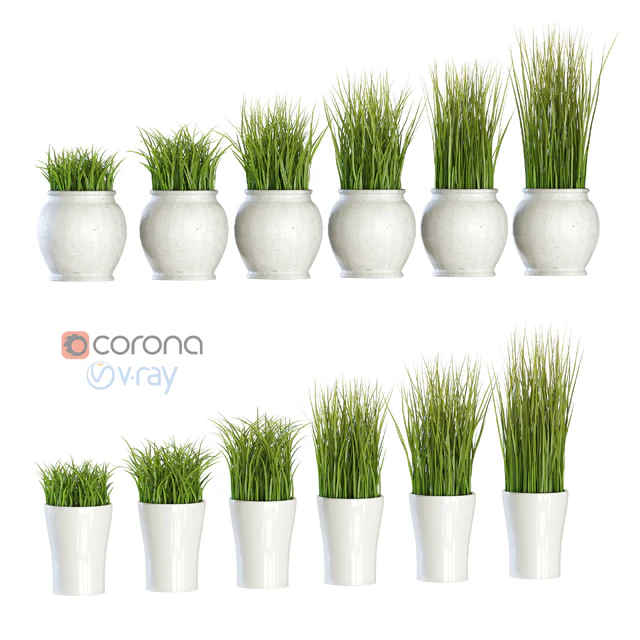 Grass in pots — Descargar