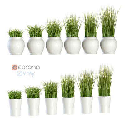 Grass in pots — Ver 1