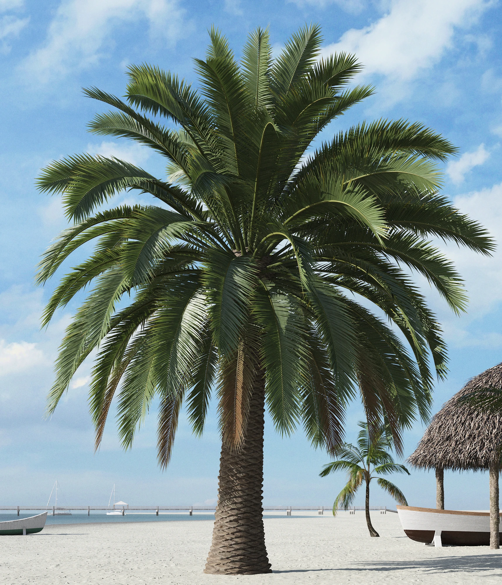 palm trees 018 — Descargar