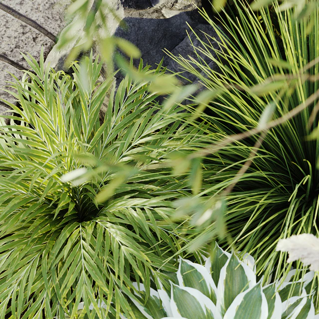 outdoor plant set 05 — Скачать