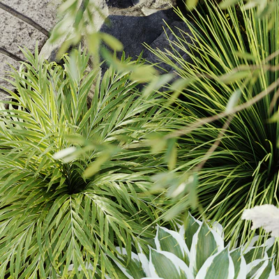 outdoor plant set 05 — Вид 2