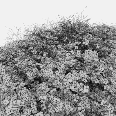 Bush 024 — Ver 3