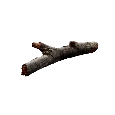 tree debris 013 — Descargar