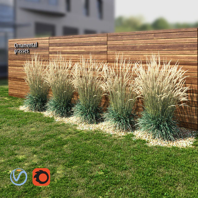 Ornamental grass dry — Descargar