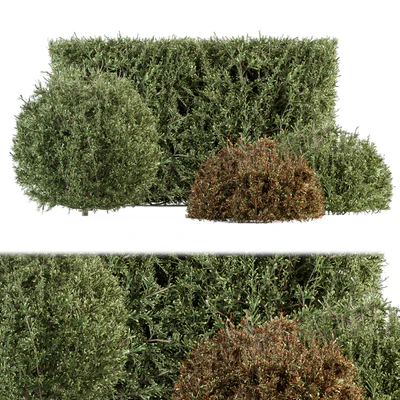 Cube and Circle Bush - Bush Set 18 — Ver 1