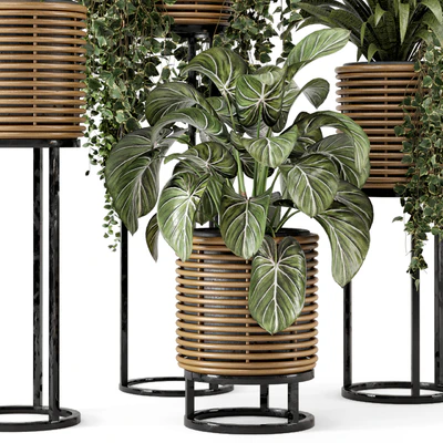 Indoor Plants in natural rattan Pot on Metal Base  - Set 592 — Вид 2