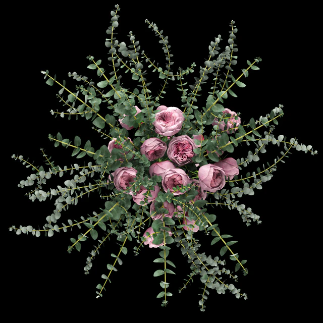 Pink roses and eucalyptus — Descargar