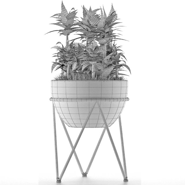 House Plant 21 — Скачать