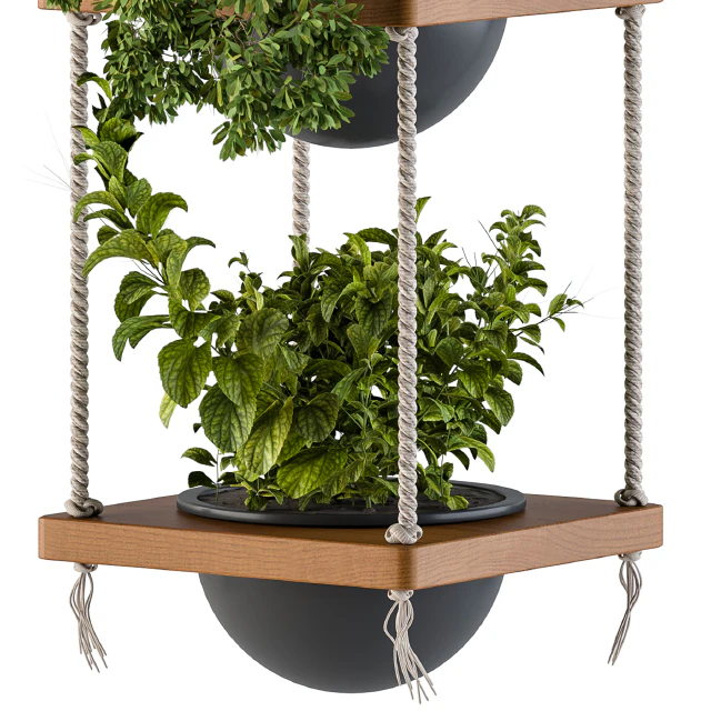 Hanging Plants Rope and Wood — Скачать