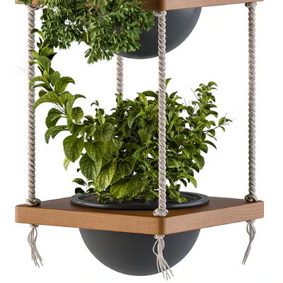 Hanging Plants Rope and Wood — Вид 3
