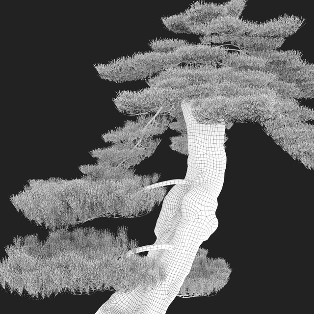 Bonsai plant — Descargar