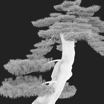 Bonsai plant — Ver 2