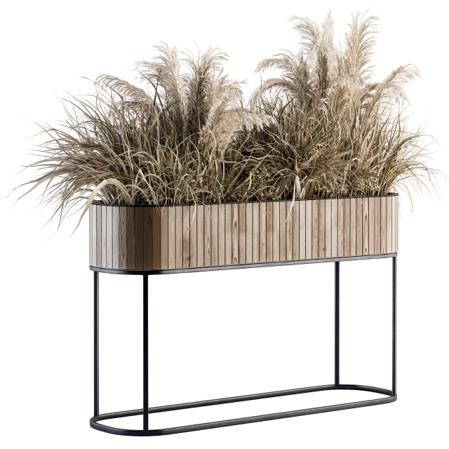 indoor Plant Set 122- Dried Plants in Wood Stand — Descargar