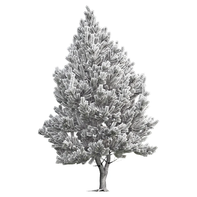 Pine — Скачать