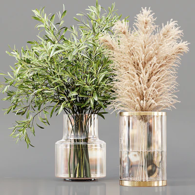 Collaction Indoor Plants 02 — Вид 2