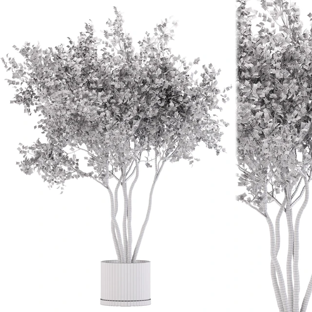 indoor plant set 31 — Descargar