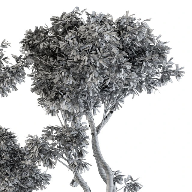 Outdoor Plants tree in Concrete Pot - Set 89 — Descargar