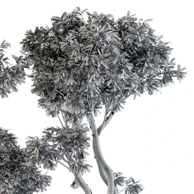 Outdoor Plants tree in Concrete Pot - Set 89 — Ver 3