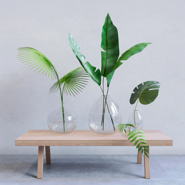 Palm Plants — Скачать