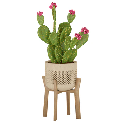 Prickly Cactus Set — Ver 3