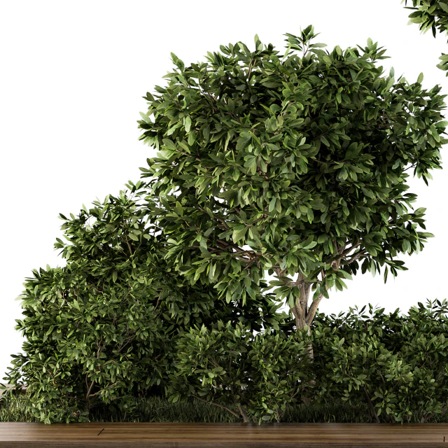 Garden set bush and Tree - Garden Set 07 — Descargar