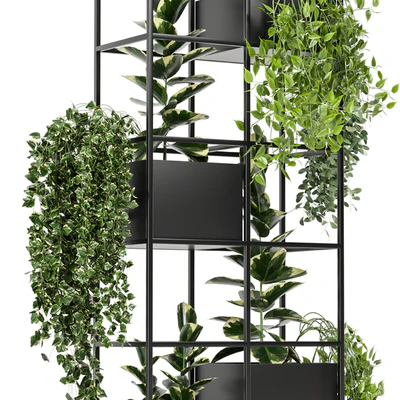 indoor plants in rusty concrete pot on metal shelf - Set 110 — Вид 2