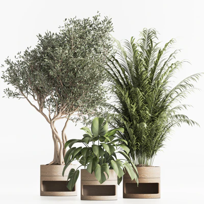 Indoor Plant Set 57 — Вид 2