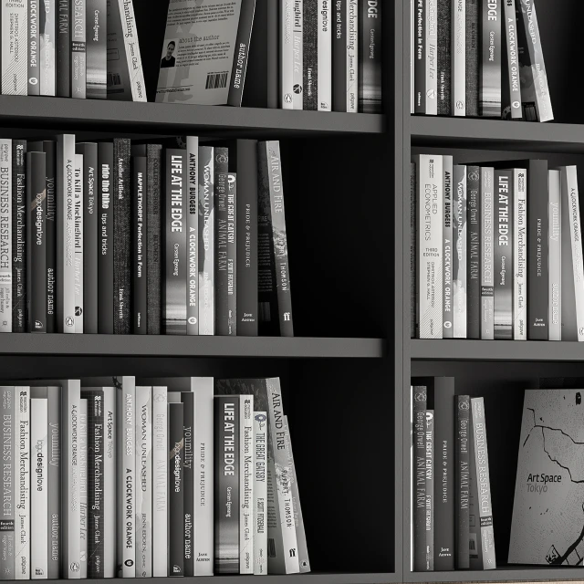 Simple Library with black and white Books — Скачать