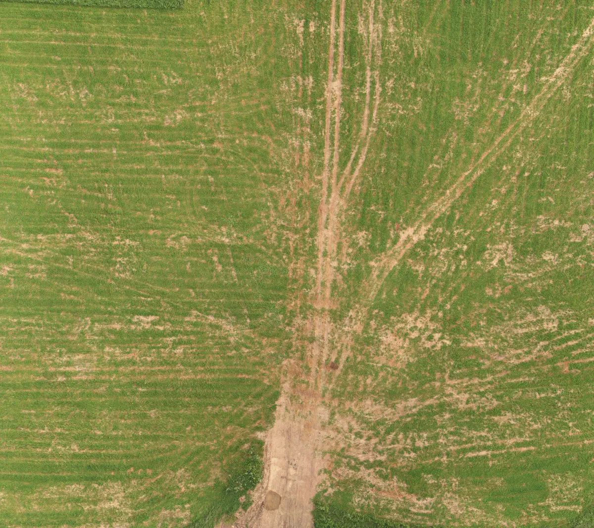 field summer 024 — Скачать