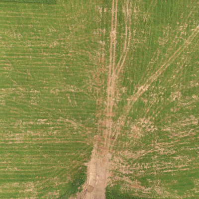 field summer 024 — Скачать