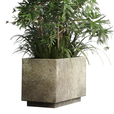 Collection Outdoor plant 49 concrete dirt old vase bax pot tree fern bamboo — Ver 2
