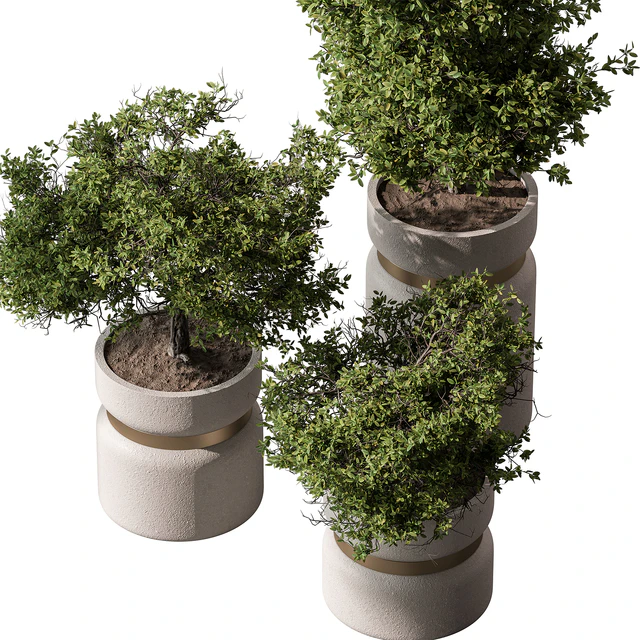Indoor Plant 566 -Tree in Pot — Descargar