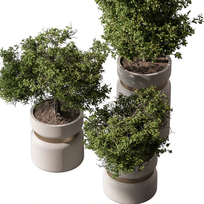Indoor Plant 566 -Tree in Pot — Ver 3