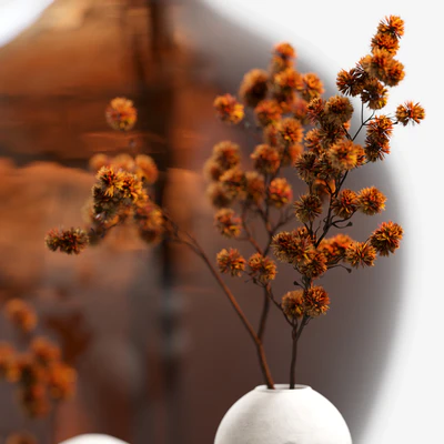 Dried flower branch in a large brown jar — Ver 2