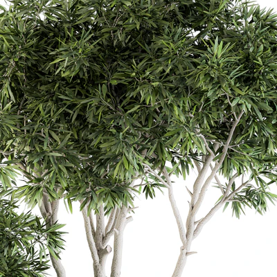 Outdoor Plants tree in Concrete Pot - Set 111 — Ver 2