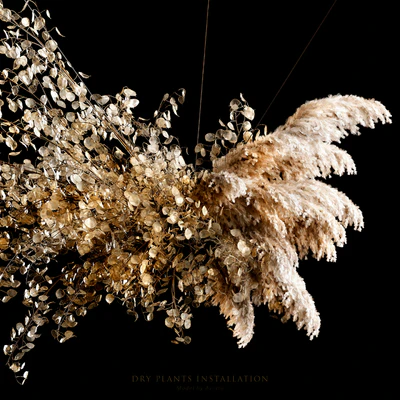 Dry plants installation — Ver 2