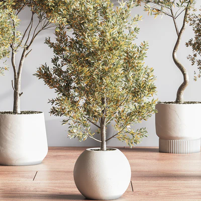 IndoorSetPlant054 — Ver 3