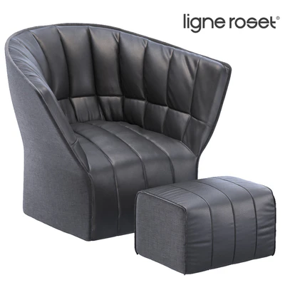 Ligne Roset MOEL — Вид 1