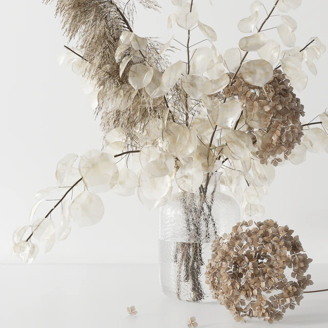 Bouquet with lunaria, pampas grass and hydragea — Скачать