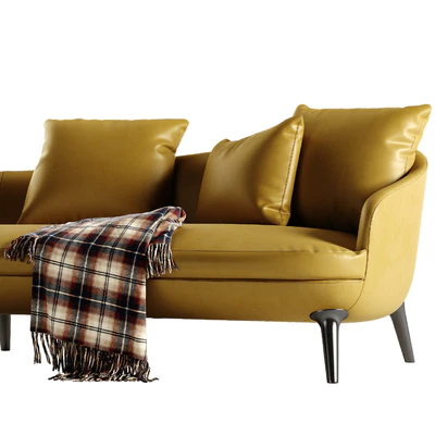Minotti Raphael sofa — Ver 2