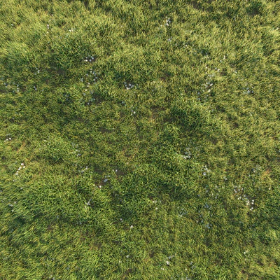 Uncut grass lawn — Ver 3
