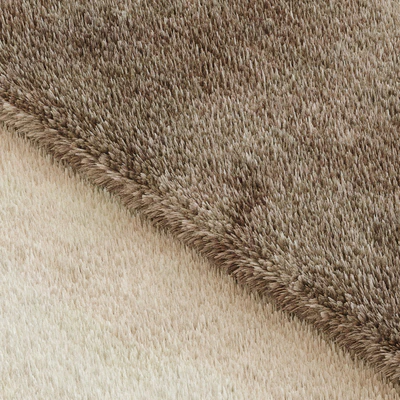 carpet — Ver 2
