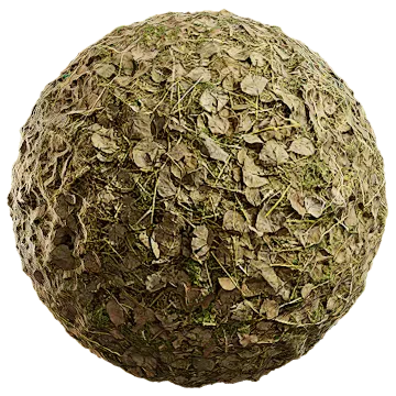 dried leaves 042 — Скачать