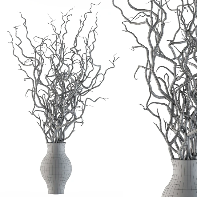 Bouquet Set 19 - Dried twisted branches — Скачать