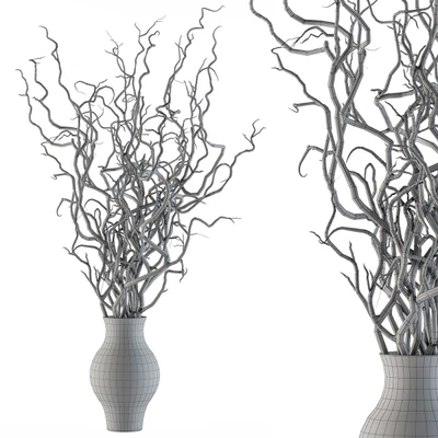 Bouquet Set 19 - Dried twisted branches — Вид 2