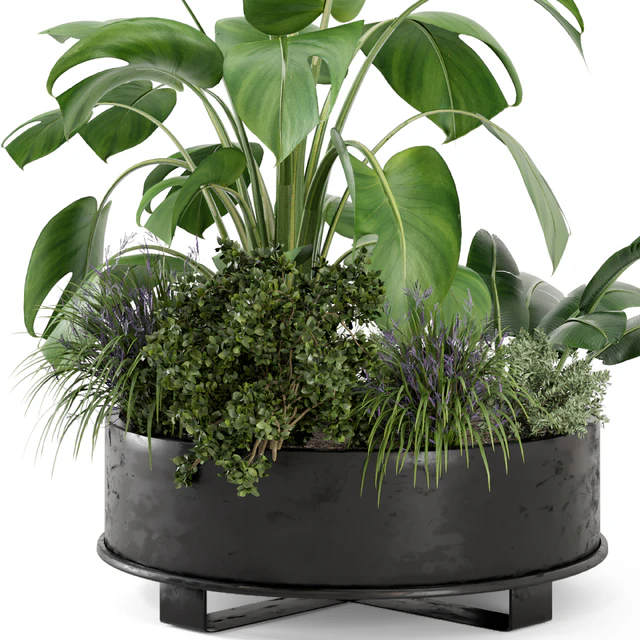 Outdoor Plants Bush in rusty Metal Pot - Set 222 — Descargar